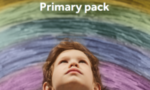 Anna Freud - #SelfcareSummer Activity Pack Primary