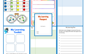 Pupil Passport Template (primary) - Fully Customisable