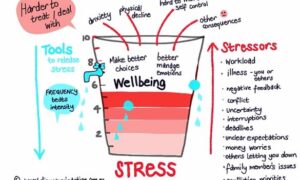 MalCPD: Your Stress Bucket