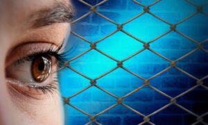 SEMH in schools for students from overseas by Dr Denise Furlong