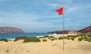 Red Flags: A Poem For Teacher Wellbeing