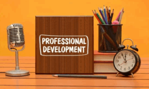 SENCo CPD: A lot about a little or a little about a lot?