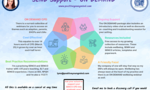 🤩SEND Support ON DEMAND 18+ hours of CPD - Annual