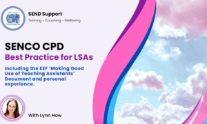 🔍Best Practice for LSAs Based on EEF's TA document (Webinar and Tracking Spreadsheet)
