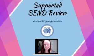 🚀🚀 🚀 Supported SEND Review (3 hours bespoke to your school)
