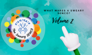 What Makes a SENCO Sweary? Volume 2: SENCo Summer Workload